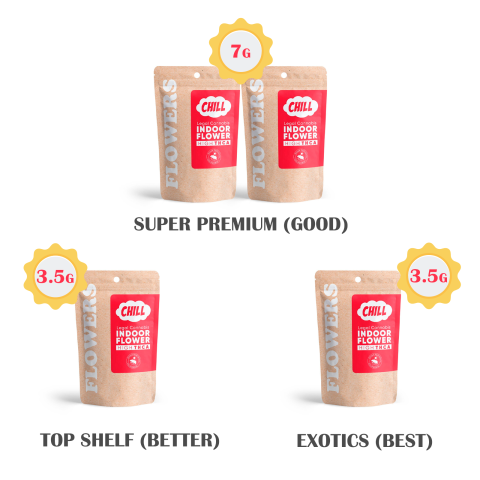 Mixed Holiday Bundle - Thumbnail 2