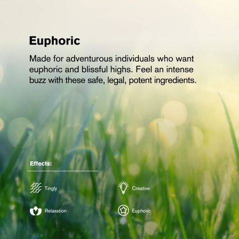 Sugar Tartz Flower - Hybrid - THCA - Thumbnail 5