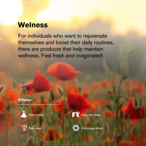 50mg CBD Isolate Nano Tablets - Green Apple - Chill Plus - Thumbnail 7