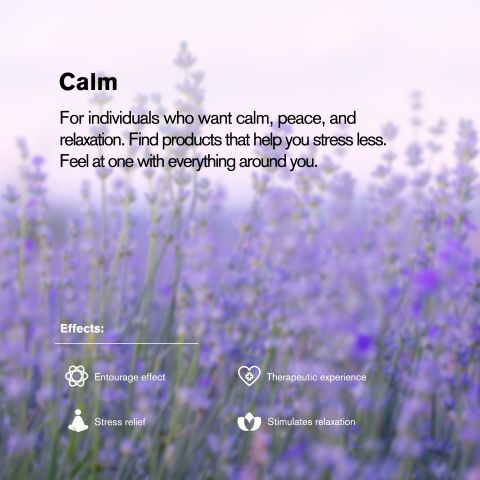 50mg Broad Spectrum CBD Nano Tablets - Grape - Chill Plus - Thumbnail 7