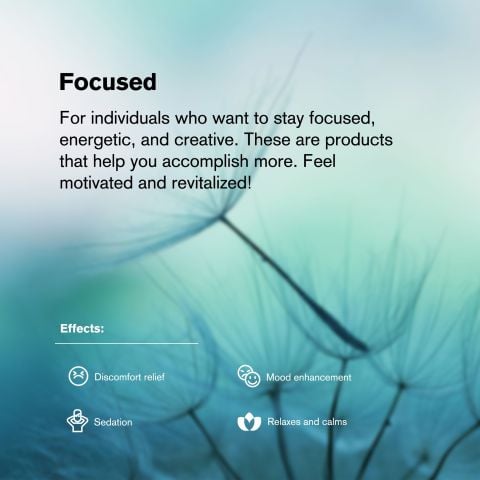 25mg Kratom Nano Tablets - Blueberry - Chill Plus - Thumbnail 7