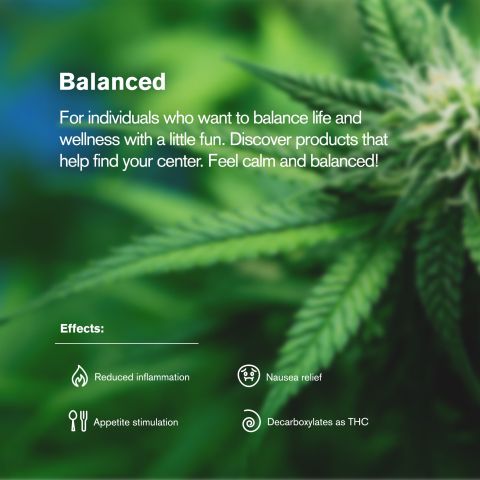 Hybrid Blend Trim Flower - Hybrid Blend - THCA - Thumbnail 5