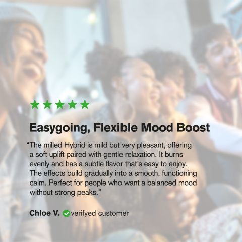 Hybrid Blend Trim Flower - Hybrid Blend - THCA - Thumbnail 6