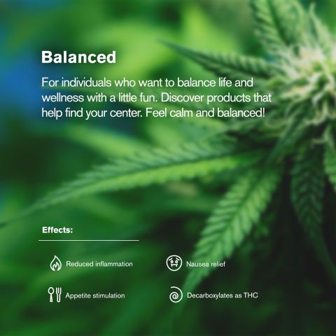 Hybrid Blend Ground Flower - Hybrid Blend - THCA - Thumbnail 5