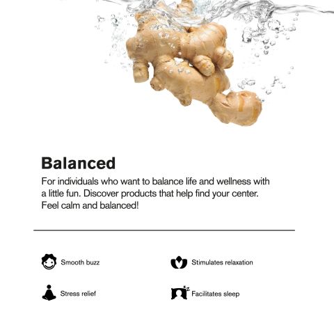 200mg Ginger Ale THC Seltzer - D9 Nano - Fresh - Thumbnail 4