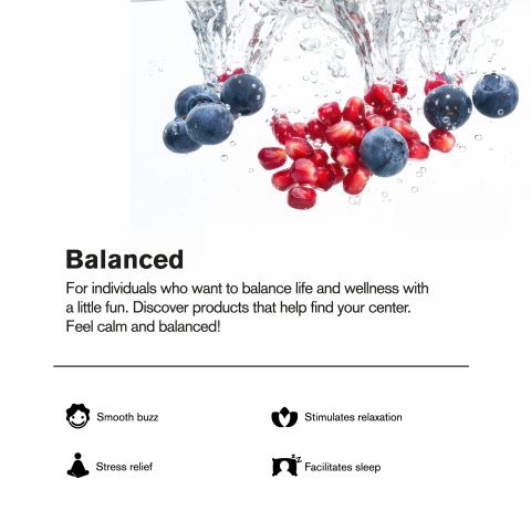 200mg Blueberry & Pomegranate THC Seltzer - D9 Nano - Fresh - Thumbnail 4