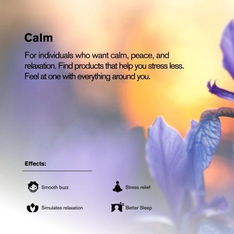 25mg Delta 8 Tablets - Pineapple - Chill Plus - 60ct - Thumbnail 7