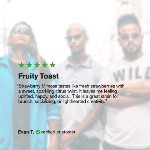 Strawberry Mimosa Flower - Sativa - THCA - Thumbnail 6