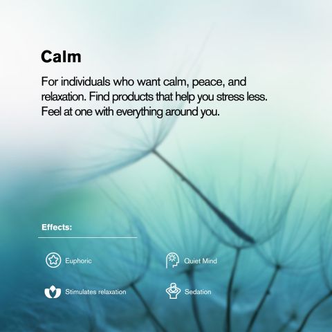 40mg Cat's Claw Tablets - Chill Plus - Thumbnail 7