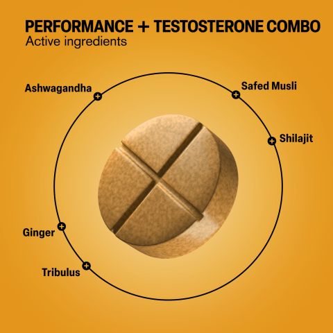 500mg Performance+Testosterone Combo Tablets - Spiced Citrus - Mood Tablets - Thumbnail 5