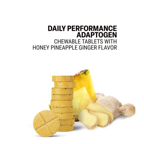 500mg Daily Performance Adaptogen Tablets - Pineapple Ginger - Mood Tablets - Thumbnail 4