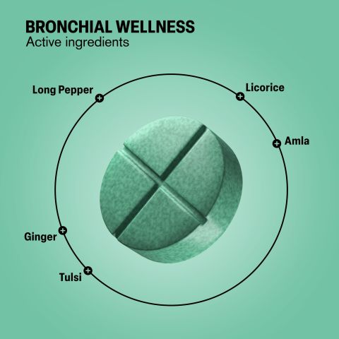 500mg Bronchial Wellness Tablets - Eucalyptus Mint - Mood Tablets - Thumbnail 5