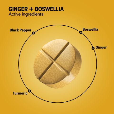 500mg Ginger + Boswellia Tablets - Spiced Mango - Mood Tablets - Thumbnail 5