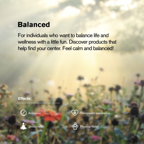 200mg Full Spectrum CBD Tablets - Berry Burst - Chill Plus - Thumbnail 9