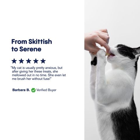 Cat Cafe Tartar Control - CBD Pet Treats For Cats - 600mg - MediPets - Thumbnail 6