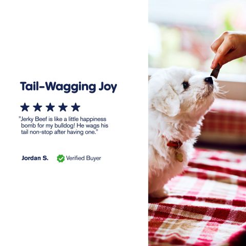 600mg CBD Pet Treats For Dogs - Beef Jerky - MediPets - Thumbnail 6