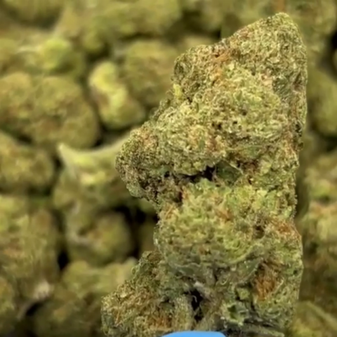 Cadillac Rainbow Flower – Hybrid – THCA - Video Thumbnail 1