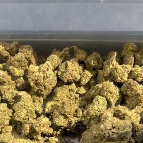 AK47 Flower – Hybrid – THCA - Video Thumbnail 1