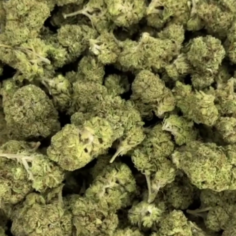 Area 41 Flower - Hybrid - THCA - Video Thumbnail 1