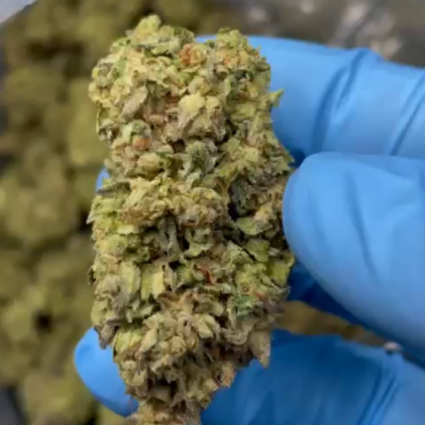 Blue Zlushie Flower – Hybrid – THCA - Video Thumbnail 1