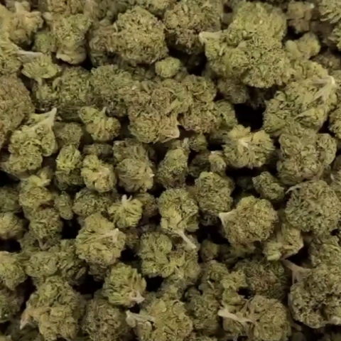 Cap Junky Flower – Indica – THCA - Video Thumbnail 1
