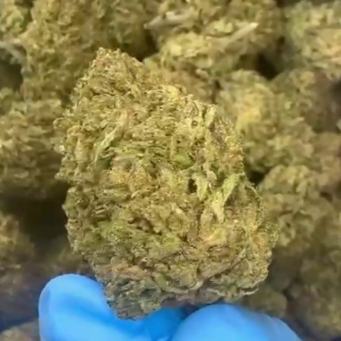 Cotton Candy Flower - Hybrid – THCA - Video Thumbnail 1