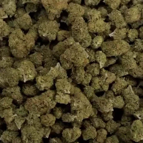 Diablo Flower – Sativa – THCA - Video Thumbnail 1