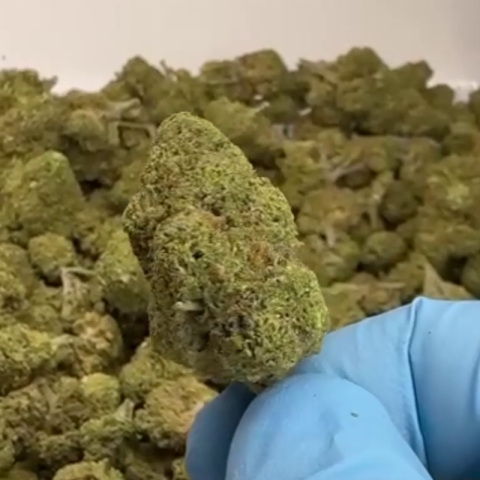 Sundae Driver Flower – Hybrid – THCA - Video Thumbnail 1