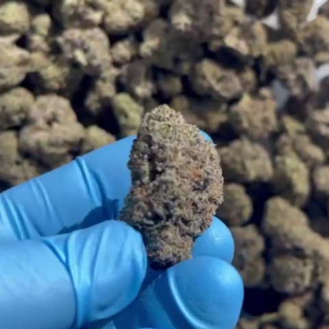 Wedding Cake Flower – Indica – THCA - Hybrid - Video Thumbnail 1