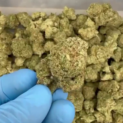 Fiji Mint Flower – Hybrid – THCA - Video Thumbnail 1