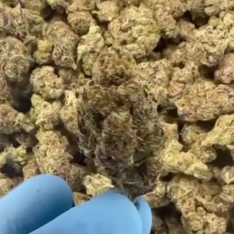 Peanut Butter Breath Flower – Sativa – THCA - Video Thumbnail 1