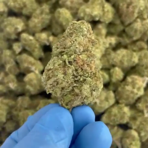 Grape Runtz Flower – Hybrid – THCA - Video Thumbnail 1