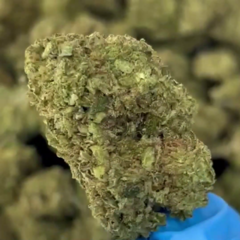 Green Apple Gas Flower – Sativa – THCA - Video Thumbnail 1