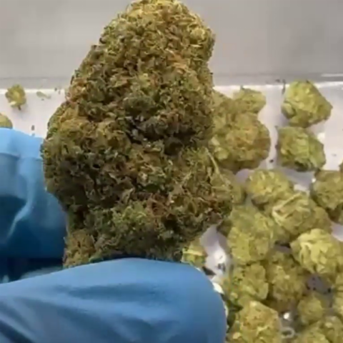 Heavy OG Flower – Hybrid – THCA - Video Thumbnail 1
