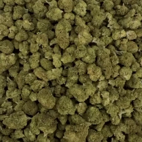 Master Kush Flower - Indica - THCA - Video Thumbnail 1