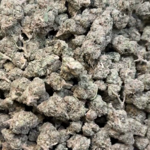 Key Lime Jack Flower - Hybrid - THCA - Video Thumbnail 1