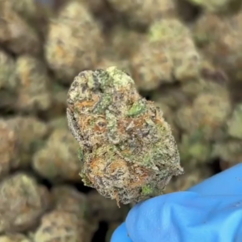 Lava Cake Flower – Indica – THCA - Video Thumbnail 1