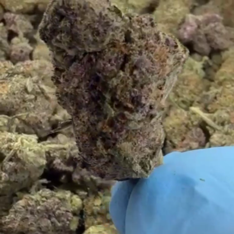 Melonatta Flower – Hybrid – THCA - Video Thumbnail 1