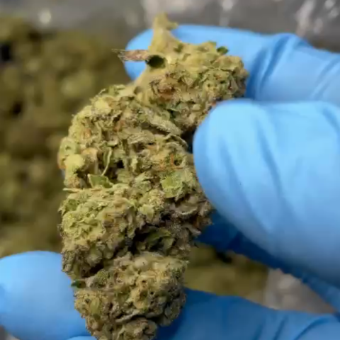 PBJ Flower – Hybrid – THCA - Video Thumbnail 1