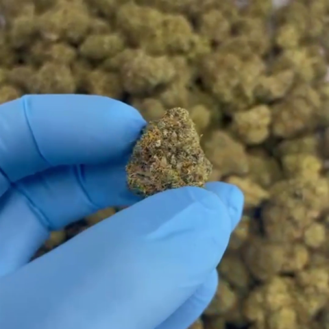 RS11 x Runtz Flower – Hybrid – THCA - Video Thumbnail 1