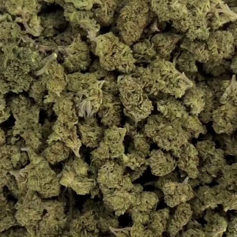 Red Congolese Flower – Sativa – THCA - Video Thumbnail 1