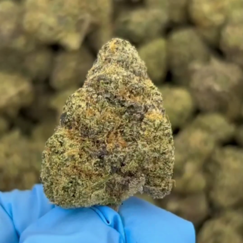 Sherbert Flower - Hybrid - THCA - Video Thumbnail 1