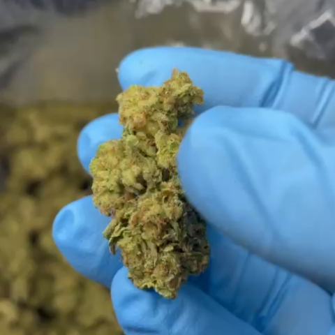 Wedding Pie Flower – Indica – THCA - Video Thumbnail 1
