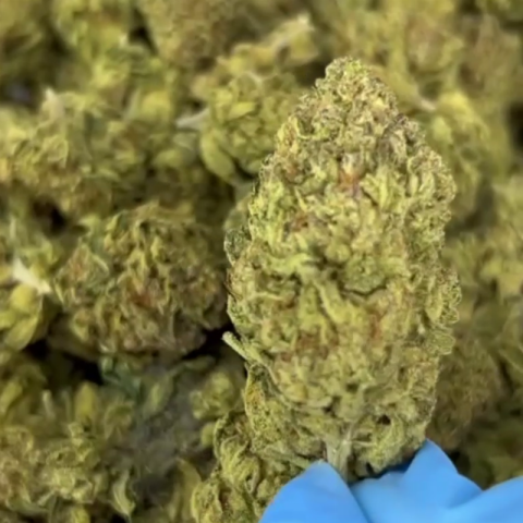 ZZ Flower – Indica – THCA - Video Thumbnail 1