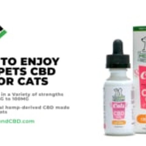 CBD Oil for Cats - 90mg - MediPets - Video Thumbnail 1