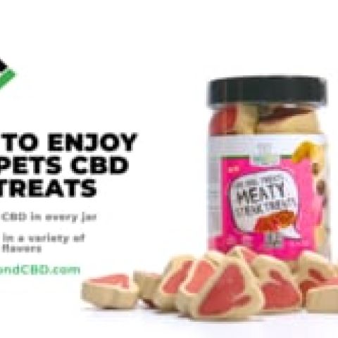 CBD Dog Treats - Burger Beef Minis - 300mg - MediPets - Video Thumbnail 1