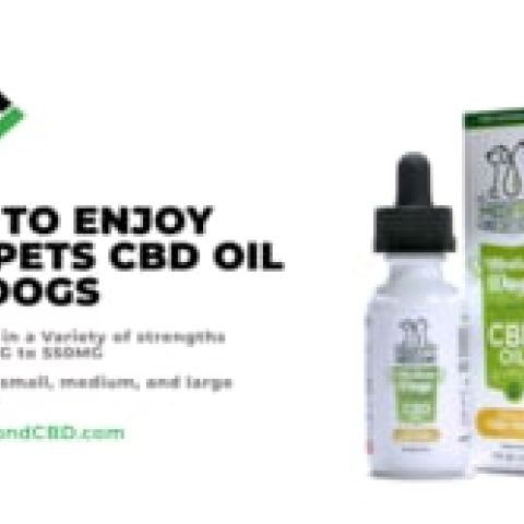 CBD Oil for Medium Dogs - 240mg - MediPets - Video Thumbnail 1
