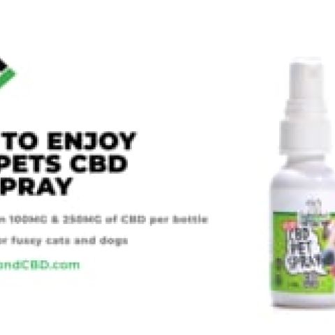 MediPets CBD - Pet Spray - 100mg - Video Thumbnail 1