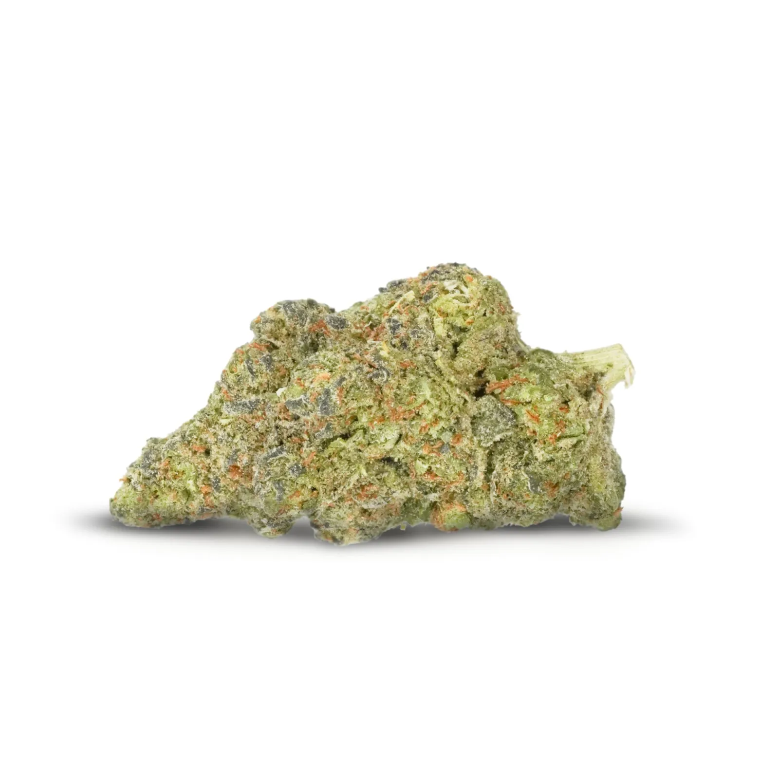 purple-panty-dropper-flower-