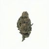 Peanut Butter Breath Flower – Sativa – THCA - Thumbnail 3
